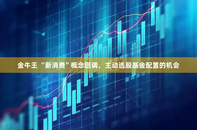 金牛王 “新消费”概念回调，主动选股基金配置的机会
