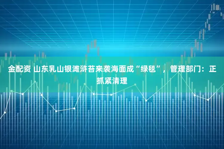 金配资 山东乳山银滩浒苔来袭海面成“绿毯”，管理部门：正抓紧清理