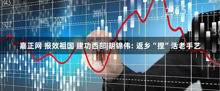 嘉正网 报效祖国 建功西部|胡锦伟: 返乡“捏”活老手艺