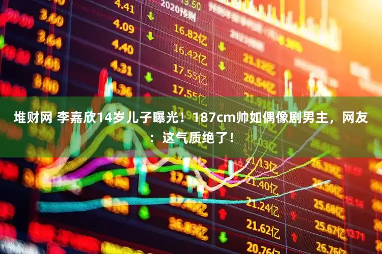 堆财网 李嘉欣14岁儿子曝光！187cm帅如偶像剧男主，网友：这气质绝了！