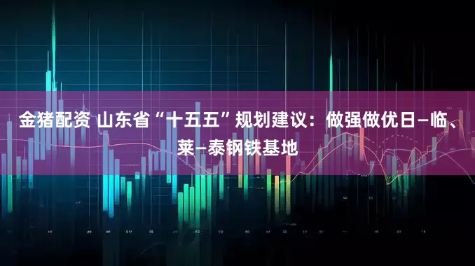 金猪配资 山东省“十五五”规划建议：做强做优日—临、莱—泰钢铁基地
